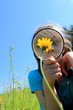 Little girl using magnifying glass examining field flowers
