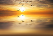volando hacia el sol