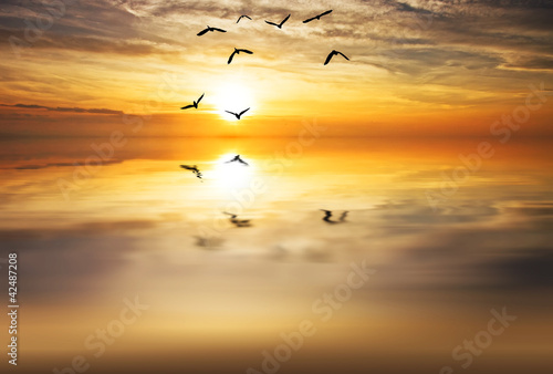 Photo: volando hacia el sol volando hacia el sol