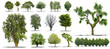 Collection d'arbres isolés sur fond blanc