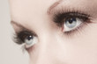 beautiful woman eyes
