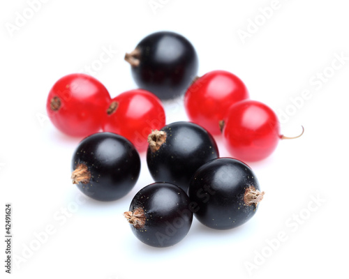 Foto: Fresh currant in closeup Fresh currant in closeup