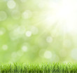 Fresh Spring bokeh background