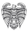Powerful eagle or griffin