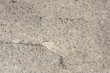 vulcanic bazalt stone texture