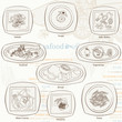 Restaurant Menu Card