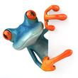 Blue frog