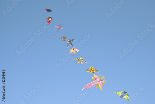 Foto: kites kites