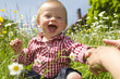 Foto: kleiner Mann in Blumenwiese kleiner Mann in Blumenwiese
