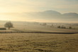 Nebellandschaft am Morgen