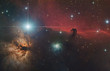 Photo: Horsehead Nebula Horsehead Nebula