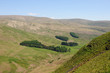 Photo: View looking south down the Annandale Way View looking south down the Annandale Way