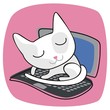 Cute Cat On Laptop