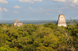 mayan tikal ruins, guatemala