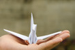 White crane