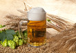 beer