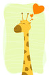 Lovely giraffe