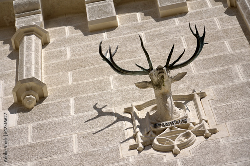Photo: Antler Antler