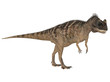Ceratosaurus