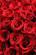 Red roses background