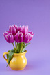 Tulpenstrauß