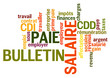 Bulletin Salaire Paie