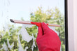 window cleaning
