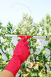 window cleaning