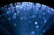 Fibre Optics CloseUp Blue