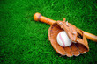 baseball bat, ball and glove