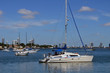 Catamaran Sailboat