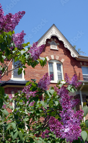 Photo: lilacs and Victorian gable lilacs and Victorian gable