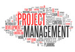 Word Cloud "Project Management"