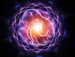 The Flower of the Fetus