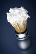 Shaving Brush