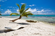 A beautiful image of caribbean paradise