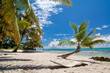 A beautiful image of caribbean paradise