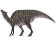 Saurolophus
