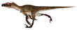 Utahraptor