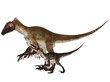 Adult and Young Utahraptor