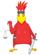 Funny Parrot. Law.