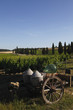 Siena, Val d'Orcia