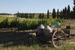 Siena, Val d'Orcia