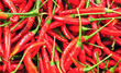 Photo: chilli pepper chilli pepper