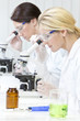 Female Scientific Research Team Using Microscopes in Laboratory