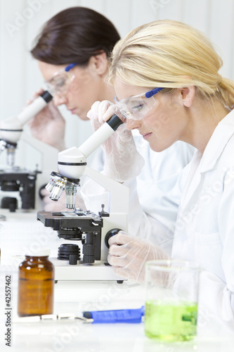 Photo: Female Scientific Research Team Using Microscopes in Laboratory Female Scientific Research Team Using Microscopes in Laboratory