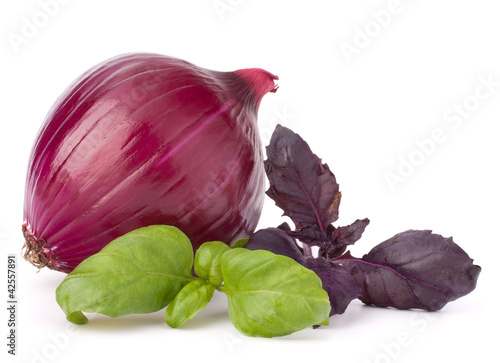 Photo: Onion and basil leaves still life Onion and basil leaves still life