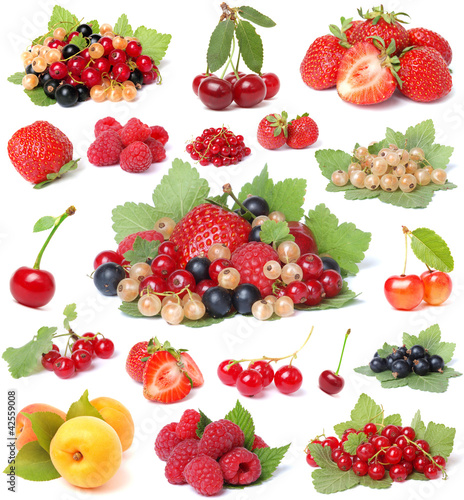 Photo: Collection berries Collection berries