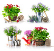 Photo: set garden flowers with tools isolated on white background set garden flowers with tools isolated on white background