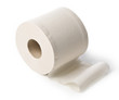 toilet paper